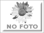 NO FOTO